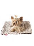 Load image into Gallery viewer, Blanket, Two Tone Rosebud Ivory/Brown
