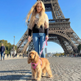 Load image into Gallery viewer, EcoBark Baby Pink Dog Harness- Over-the-Head Soft Mesh Halter Vest for Small to Medium Dogs and Puppies
