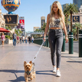 Load image into Gallery viewer, EcoBark Gray Dog Leash- Padded Comfort Grip Leash - 4ft, 5ft, and 6ft Leash for Small and Medium Dogs
