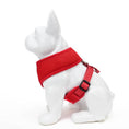 Load image into Gallery viewer, EcoBark Chery Red Dog Harness - Over-the-Head Soft Mesh Dog Vest Halter for Small to Medium Dogs and Puppies
