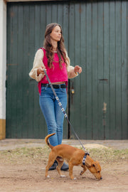 White and Blue Polo Dog Collar 