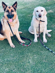 Black with Turquoise Dog Leashe 