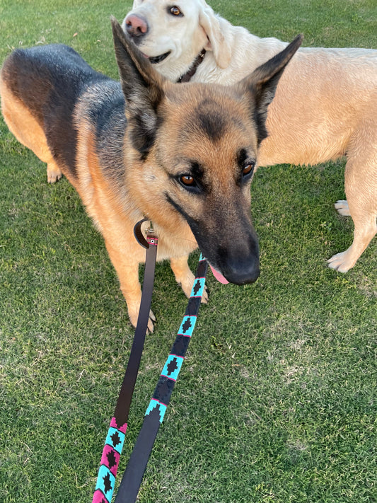 Black with Turquoise Dog Leashe 