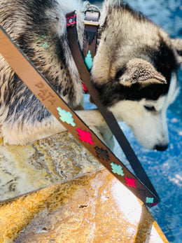 Product image of Turquoise, Black and Pink dog Leashe