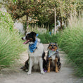Load image into Gallery viewer, Batty Buds Dog Bandana
