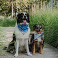 Load image into Gallery viewer, Bluey Boos Dog Bandana
