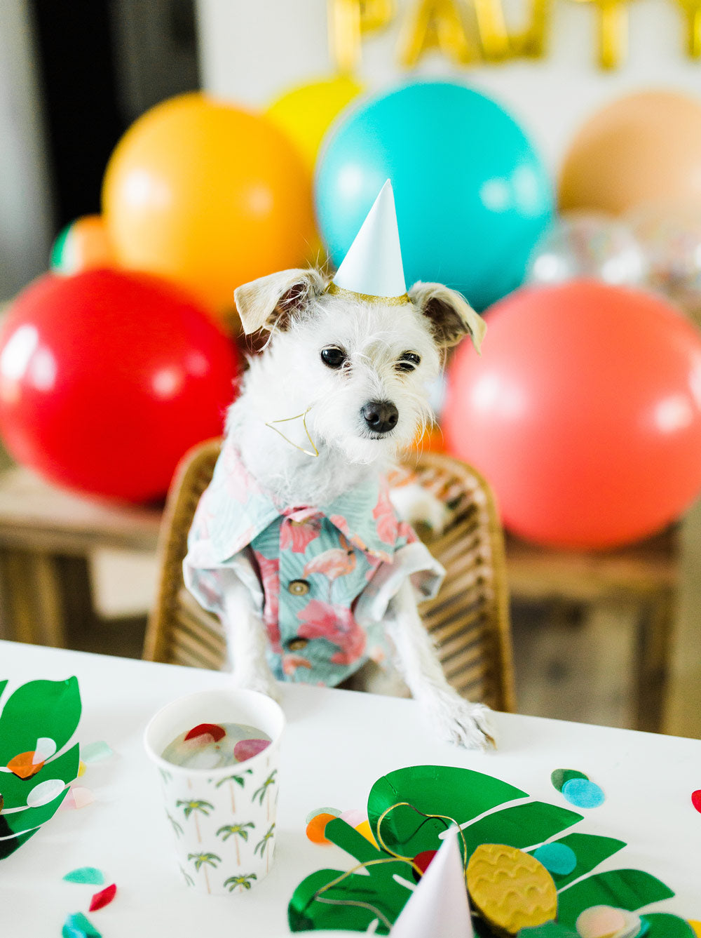 Washed Out BBQ Shirt 