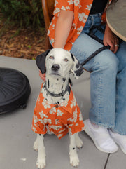 Clay Hibiscus BBQ Shirt 
