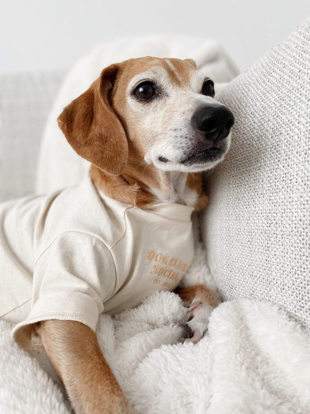 Dog Embroidered Tee 