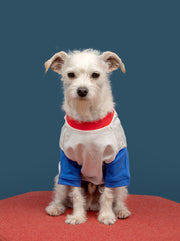 Lakeside Baseball Tee 