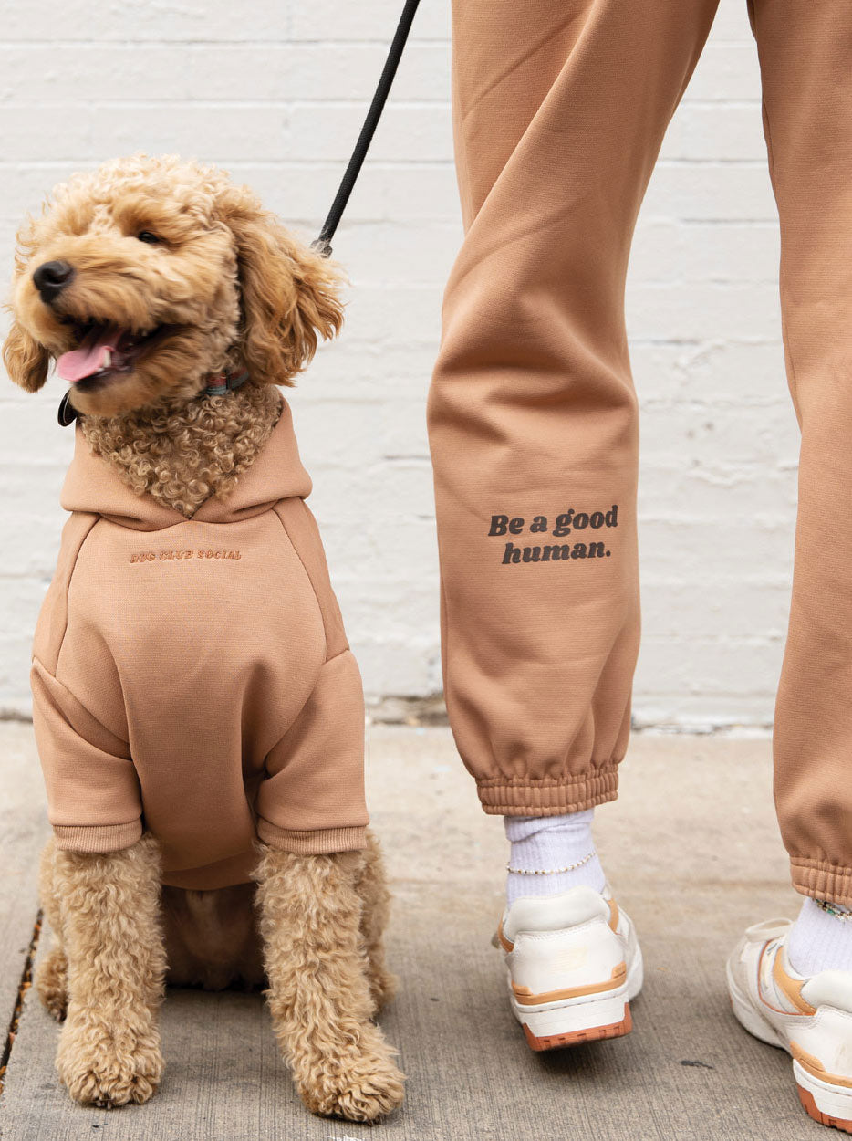 Human Fleece Jogger - Southlake Paws