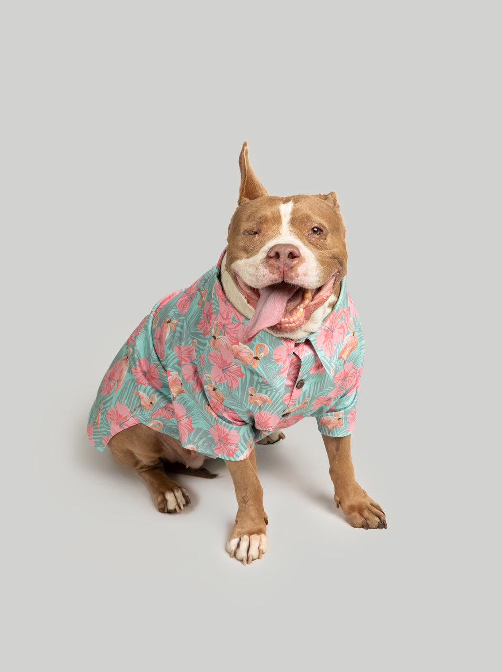 Washed Out BBQ Shirt 