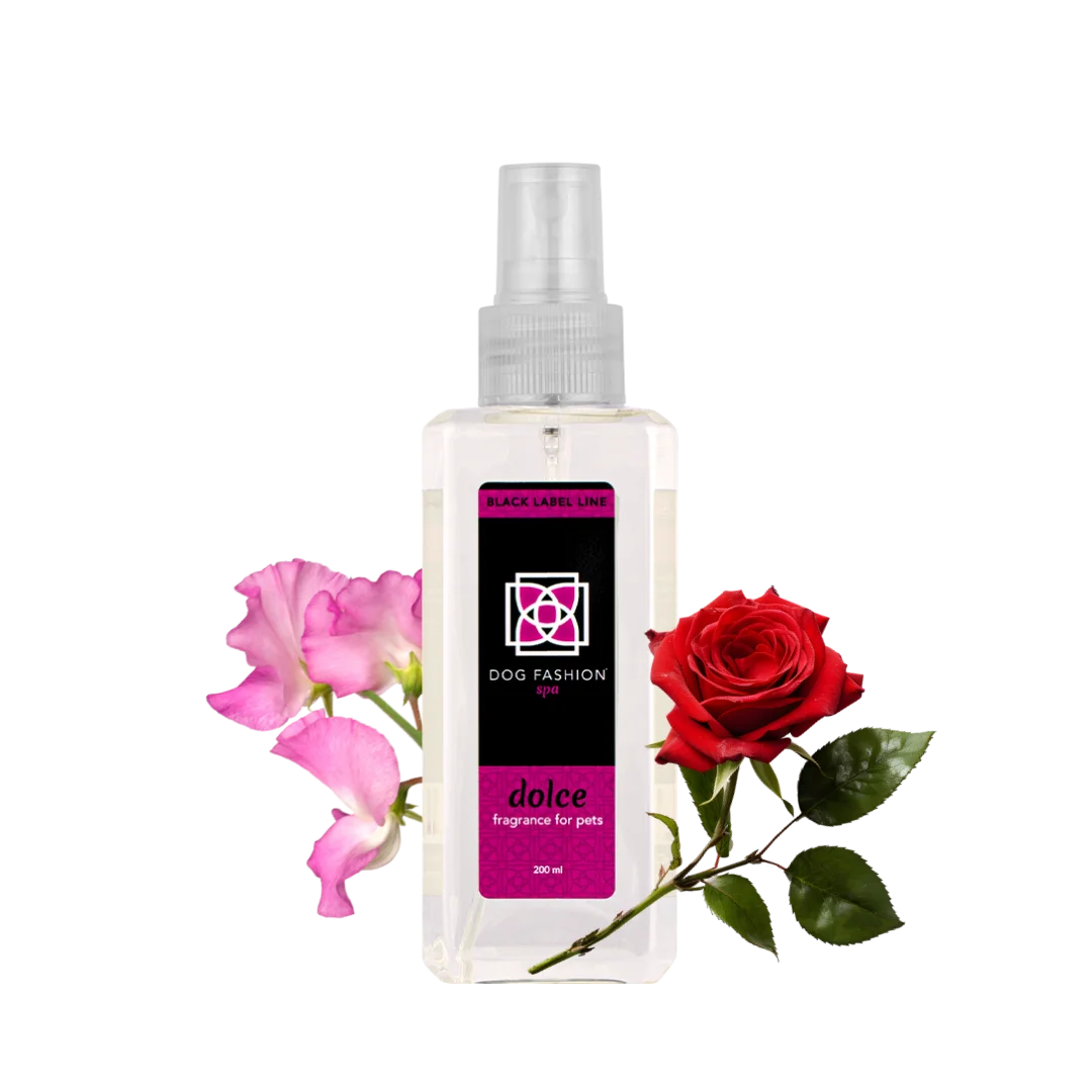  professional dog grooming tool Southlake Paws