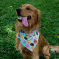 Load image into Gallery viewer, Donuts Tie Dog Bandana
