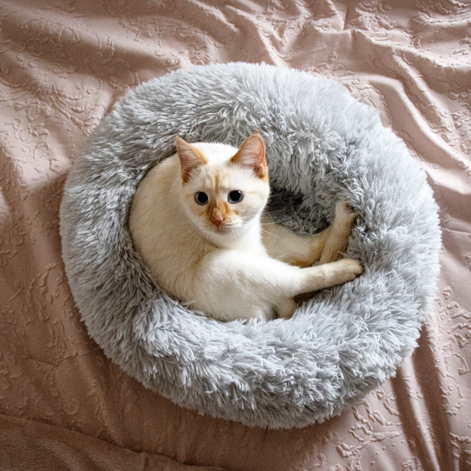 Kitty Kasa Plush Donut Cat Bed