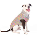 Load image into Gallery viewer, Sprinkles Dog Sweater
