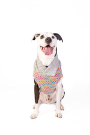 Sprinkles Dog Sweater