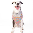 Load image into Gallery viewer, Sprinkles Dog Sweater
