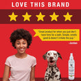 Load image into Gallery viewer, Dry & Waterless Deep Cleaning Shampoo
