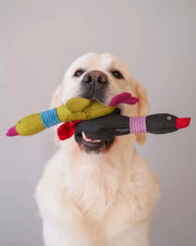 Pet Toy - Duck Jose