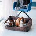 Load image into Gallery viewer, Corduroy Dog Bed Dreamer - Southlake Paws
