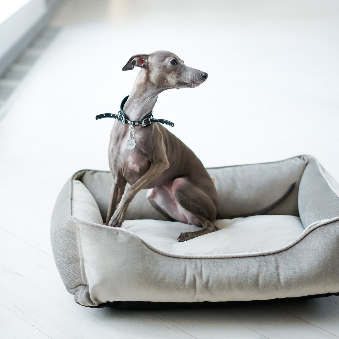 Chester & Lee | Classic Velvet Sleeper Dog Bed Gray - image 5