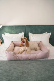 Velvet Dog Bed Dreamer