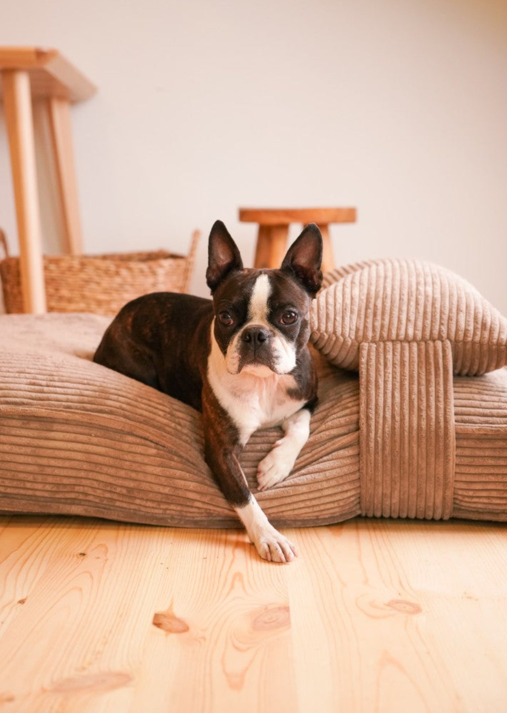 Memory Foam Dog Bed - Southlake Paws