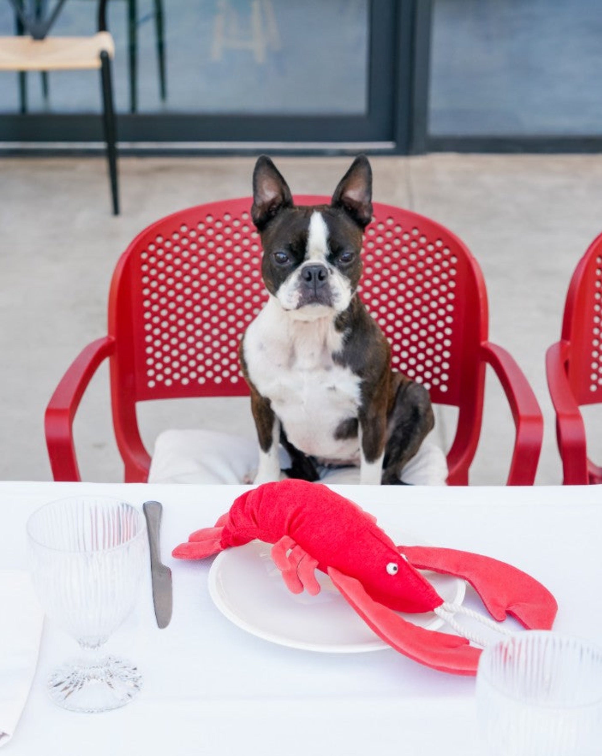 Pet Toy - Lobster Sebastian - Southlake Paws