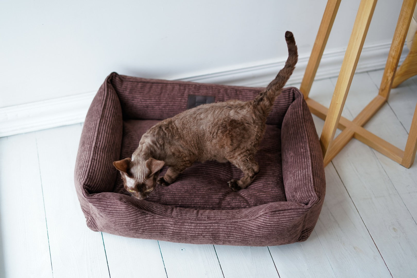 Corduroy Cat Bed Dreamer - Southlake Paws