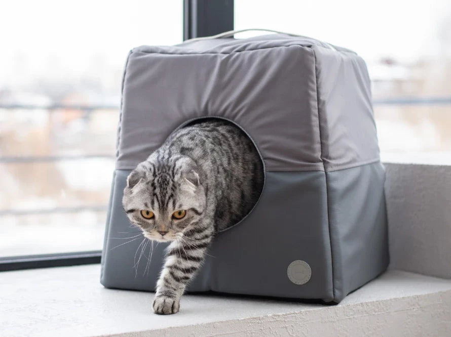 Cabrio Convertible Cat Bed - Southlake Paws