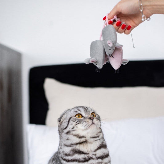 Pet Toy - Mouse Marie - Southlake Paws