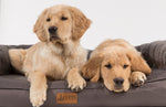 EZ-Wash Fleece Headrest Dog Bed