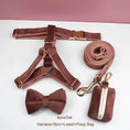 Load image into Gallery viewer, Dusty Pink Velvet Set
