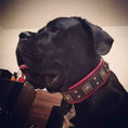 Load image into Gallery viewer, The "Eros" collar 2.5 inch wide black & red
