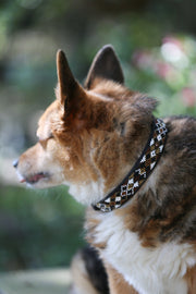 TKC Earth Argyle Beaded Dog Collar