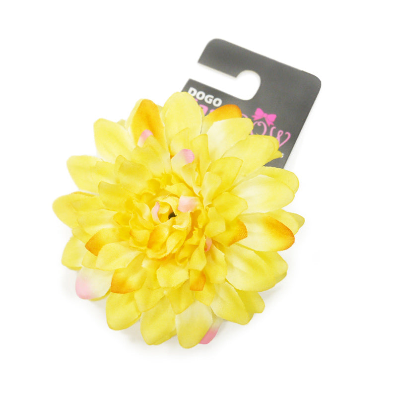 EasyBOW Flower 10