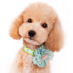 EasyBOW Flower 1
