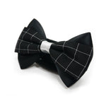 EasyBOW Gentleman 11