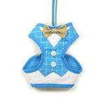 EasyGO Bowtie