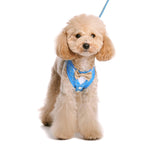 EasyGO Bowtie