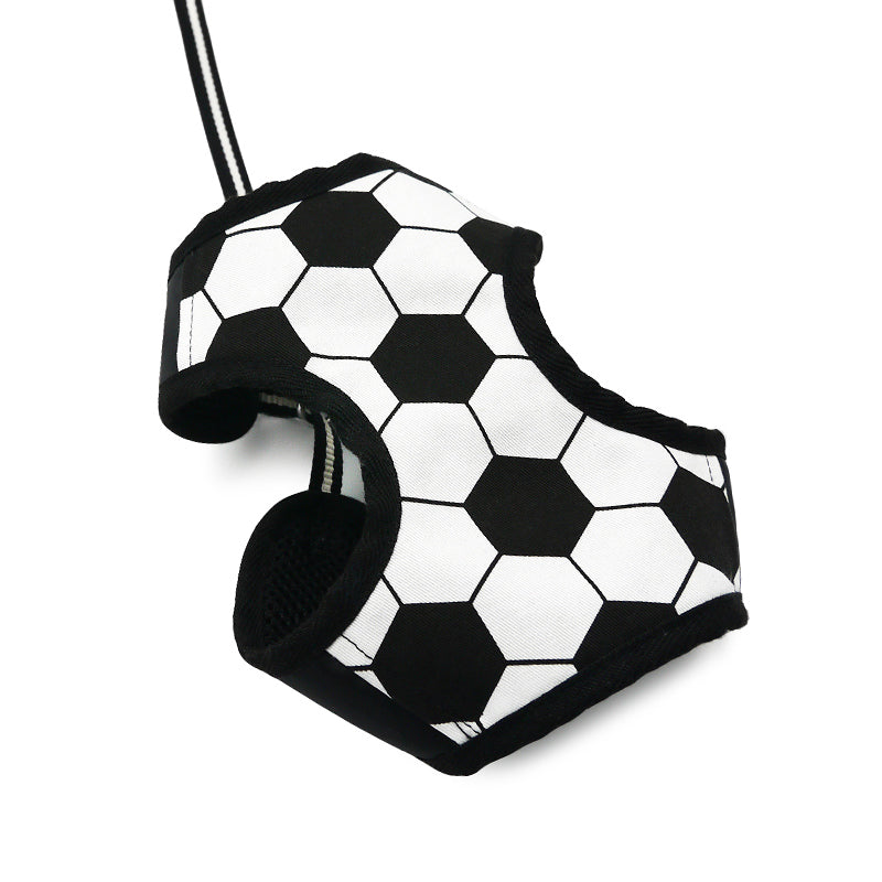 EasyGO Soccer