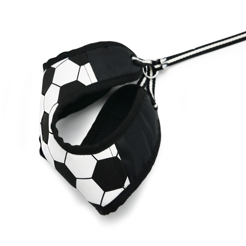EasyGO Soccer