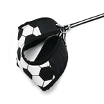 EasyGO Soccer