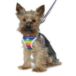 EasyGO Rainbow