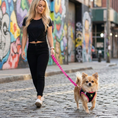 Load image into Gallery viewer, Pink Dog Leash by EcoBark - Padded Comfort Grip Leash - 4ft, 5ft, and 6ft Leash for Teacup, Small, and Medium Dogs

