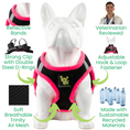 Load image into Gallery viewer, EcoBark Step In Dog Harness - XXXS to Small Breeds- Reflective Soft Mesh Harness for Teacup, Small Dogs and Puppies / Black w/ Pink Piping
