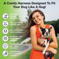 Load image into Gallery viewer, EcoBark Step In Dog Harness - XXXS to Small Breeds- Reflective Soft Mesh Harness for Teacup, Small Dogs and Puppies / Watermelon
