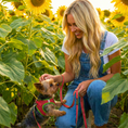 Load image into Gallery viewer, EcoBark Watermelon Dog Leash- Padded Comfort Grip Leash - 4ft, 5ft, and 6ft Leash for Small and Medium Dogs
