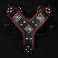 Load image into Gallery viewer, The "Eros" harness black & red
